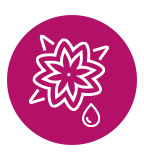 Nair - Adicionadas con flor de cerezo japonés y aceite 100% natural de Salvado de Arroz